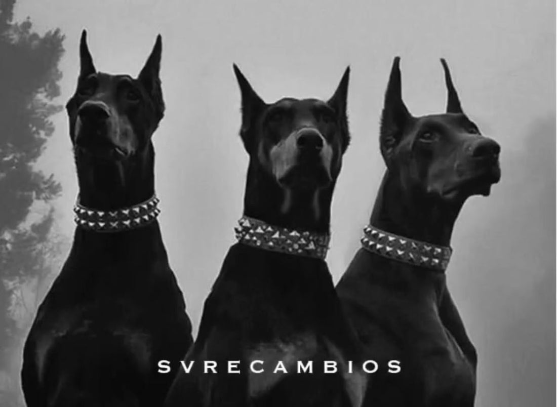 SVRECAMBIOS